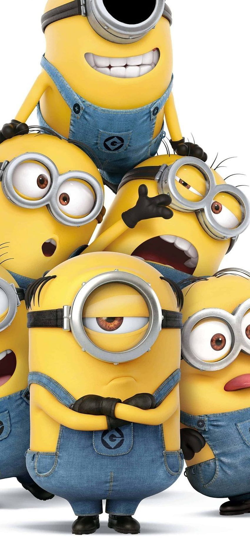 Chọn ảnh Minion làm hình nền để thêm phần sinh động cho thiết bị của bạn.