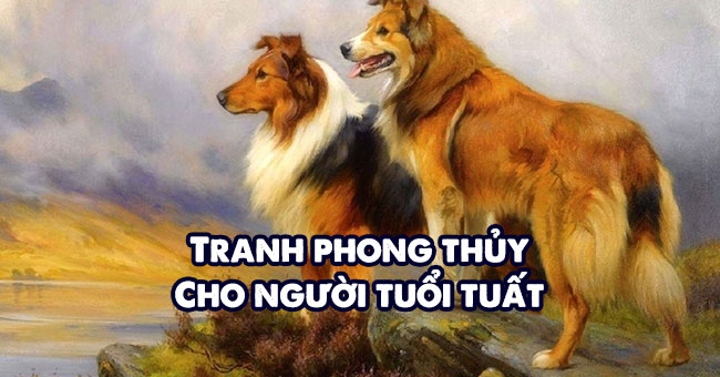 Anh Nen Dep