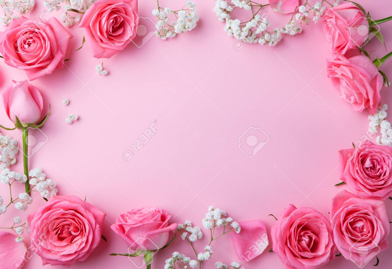 Rose flowers frame on pink background Top view Copy space